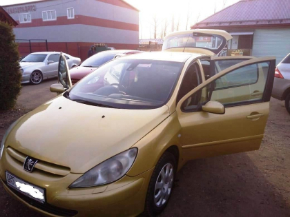 Автоэлектрик Peugeot 307